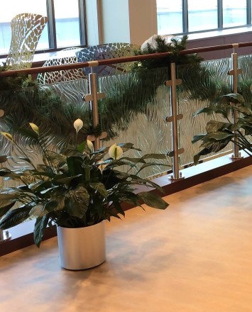 Circum handrail with cast patterned glass infill installation at the Adventist Cancer Ctr, IL.