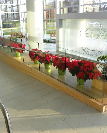 Downward ramp view of Slavin Center, Providence RI, Optik Shoe recessed into wall / seating area